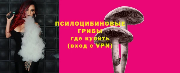 гидра Аркадак