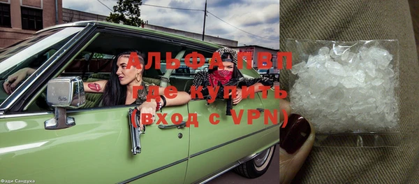 гидра Аркадак