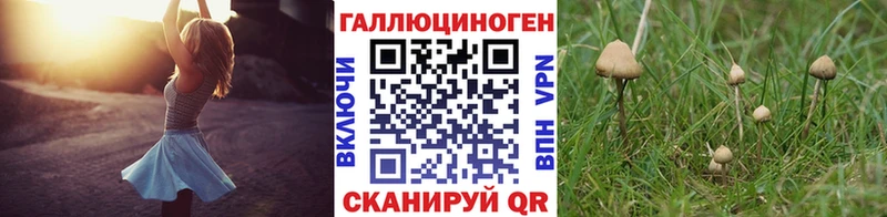 Псилоцибиновые грибы мицелий  Спас-Клепики 